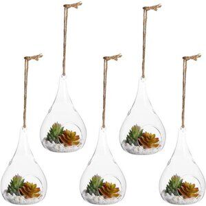 Juvale 5-Pack Hanging Glass Terrarium Containers - Air Plant Holder, Succulent